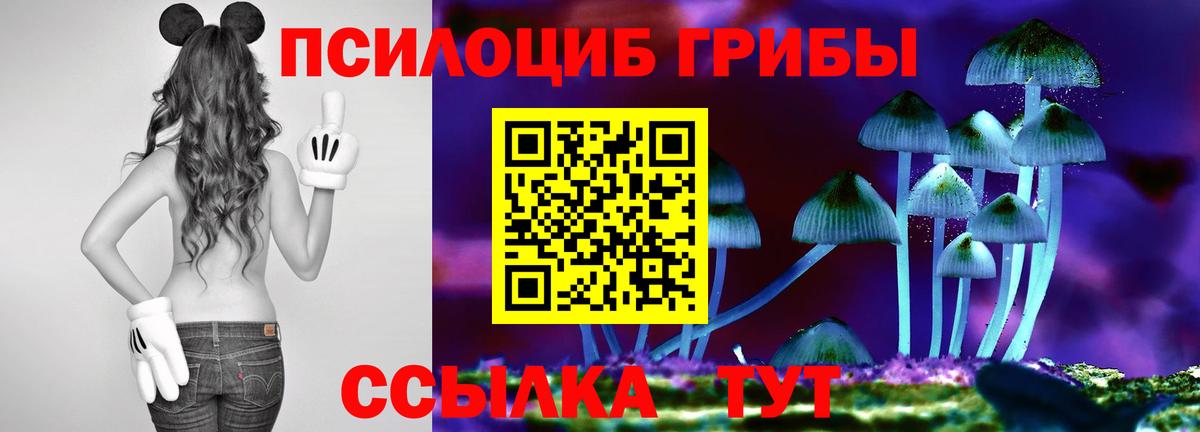 Псилоцибиновые грибы мицелий  Галлюциногенные грибы Magic Shrooms  где можно купить наркотик  Звенигород  Вход с VPN 